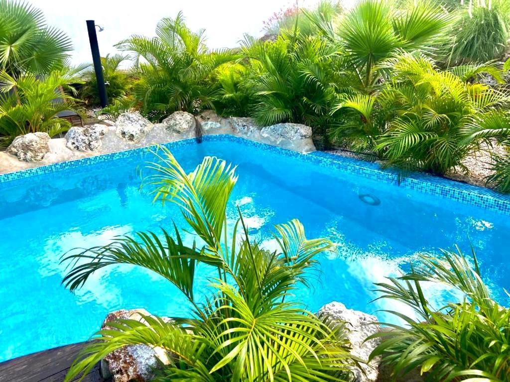 Neue Villa Tropic Paradise Willemstad Bagian luar foto