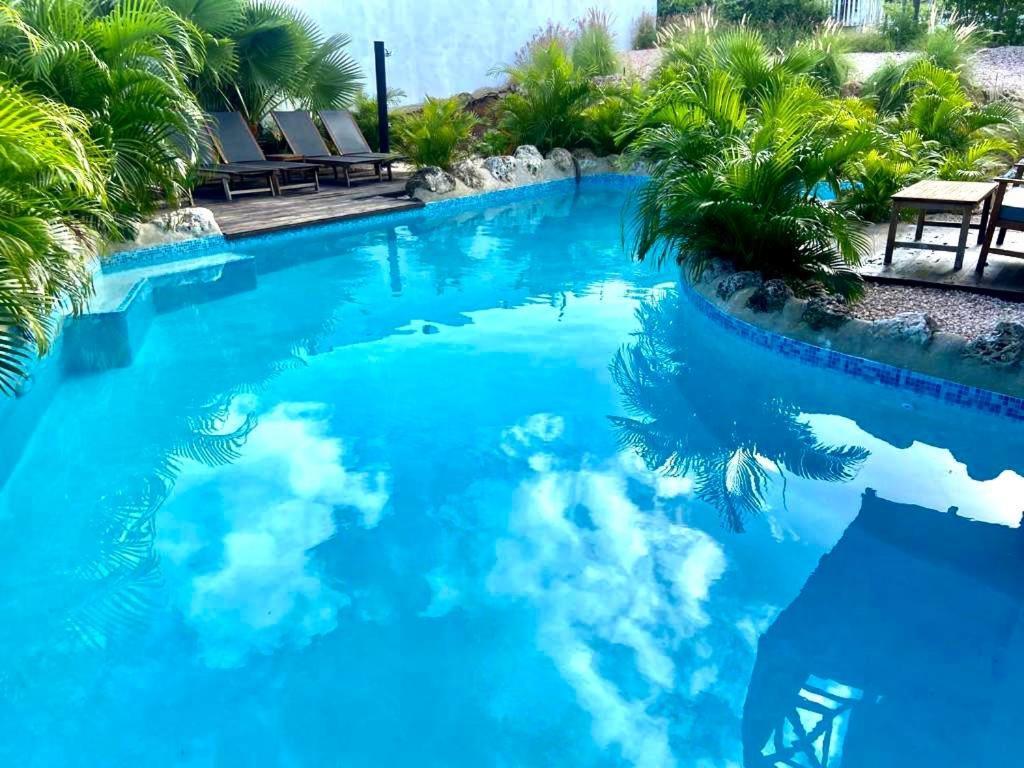Neue Villa Tropic Paradise Willemstad Bagian luar foto